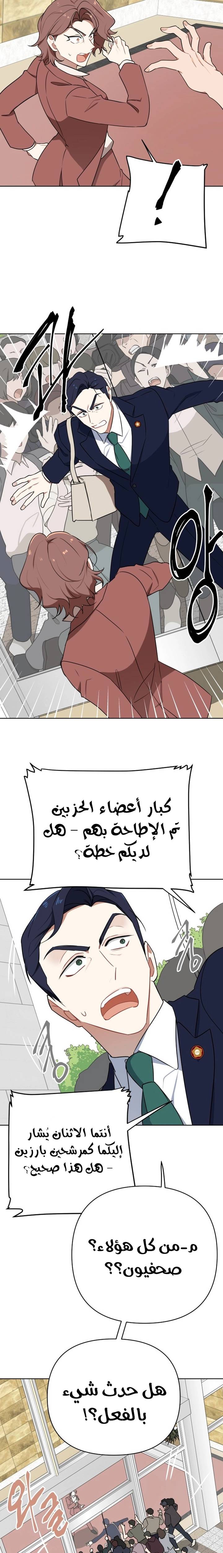 الصفحة 17