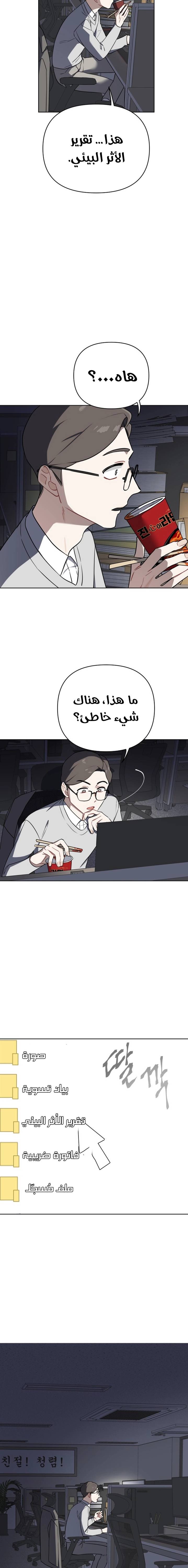 الصفحة 13