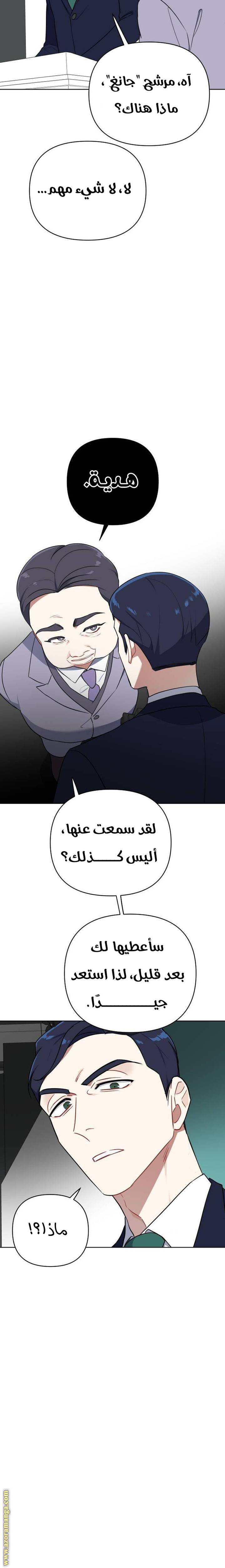 الصفحة 13