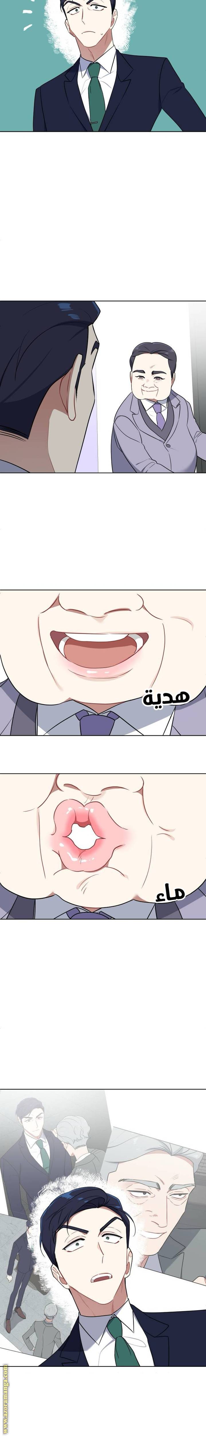 الصفحة 17