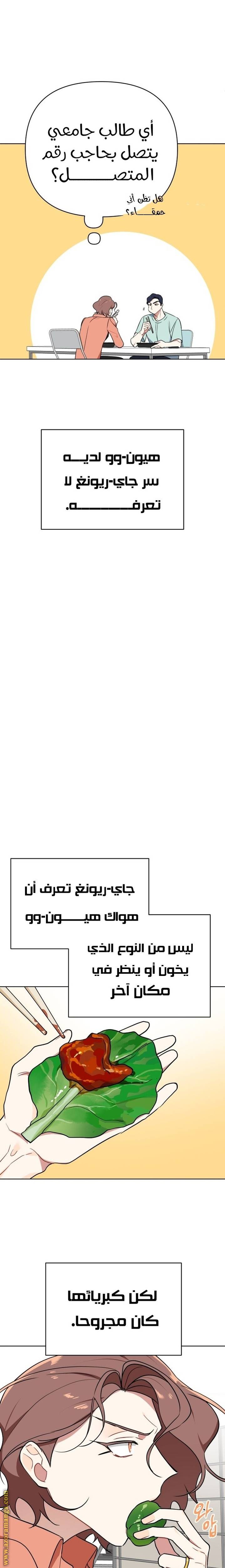 الصفحة 15