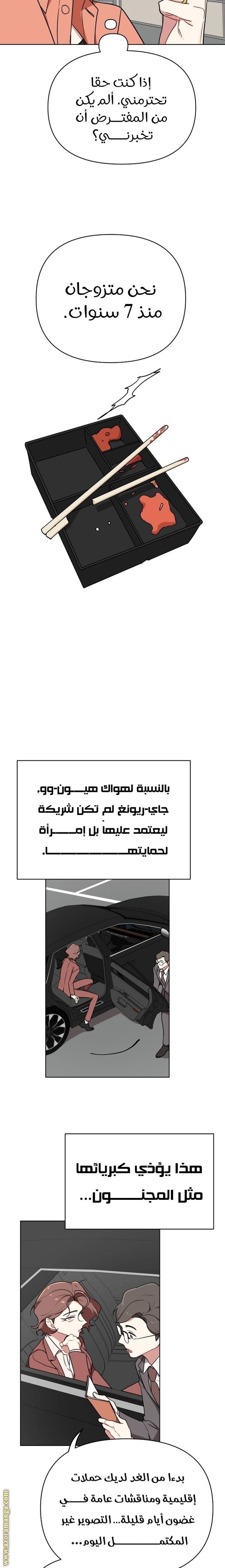الصفحة 16
