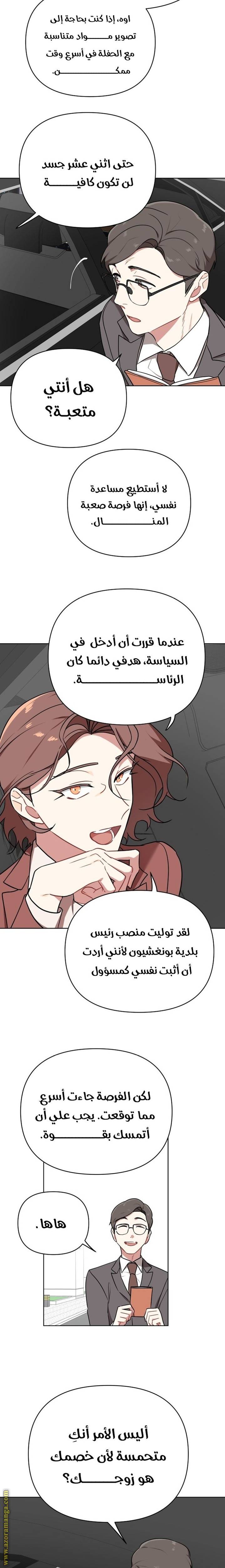 الصفحة 17