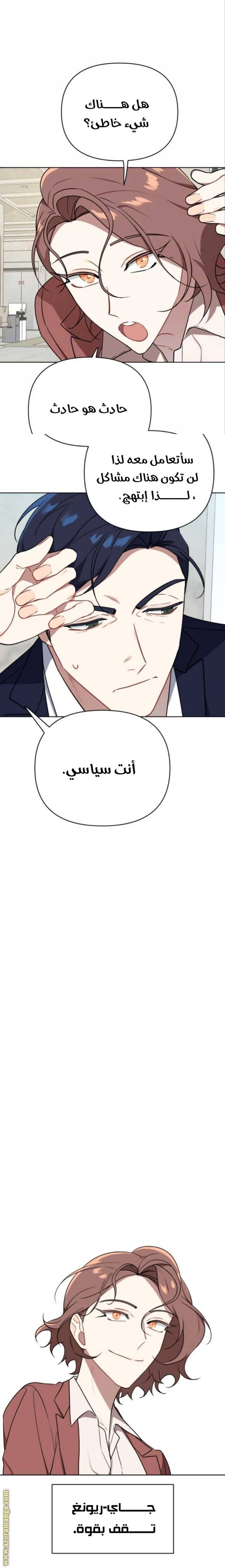 الصفحة 13