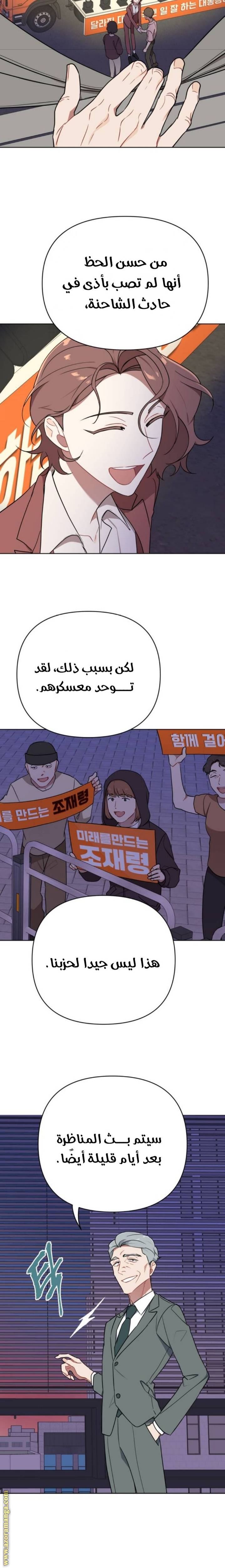 الصفحة 17