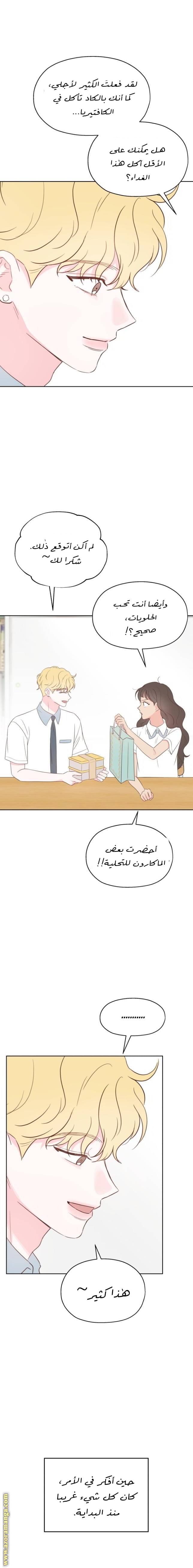 الصفحة 13