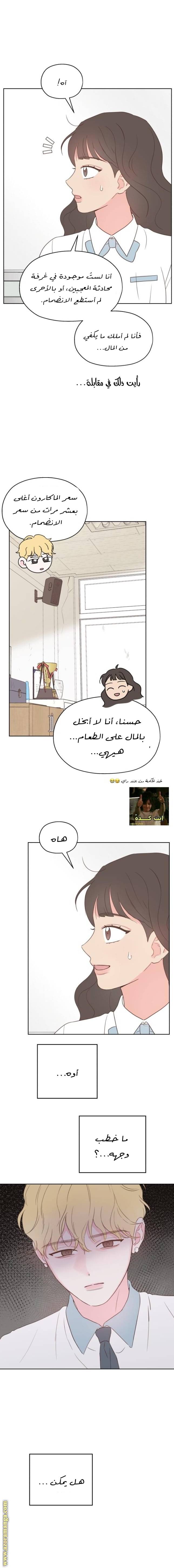 الصفحة 17