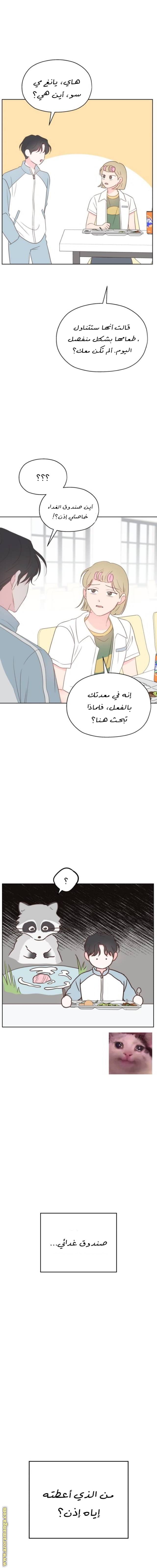 الصفحة 24