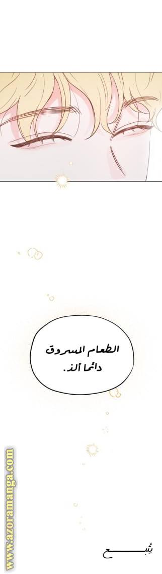 الصفحة 26