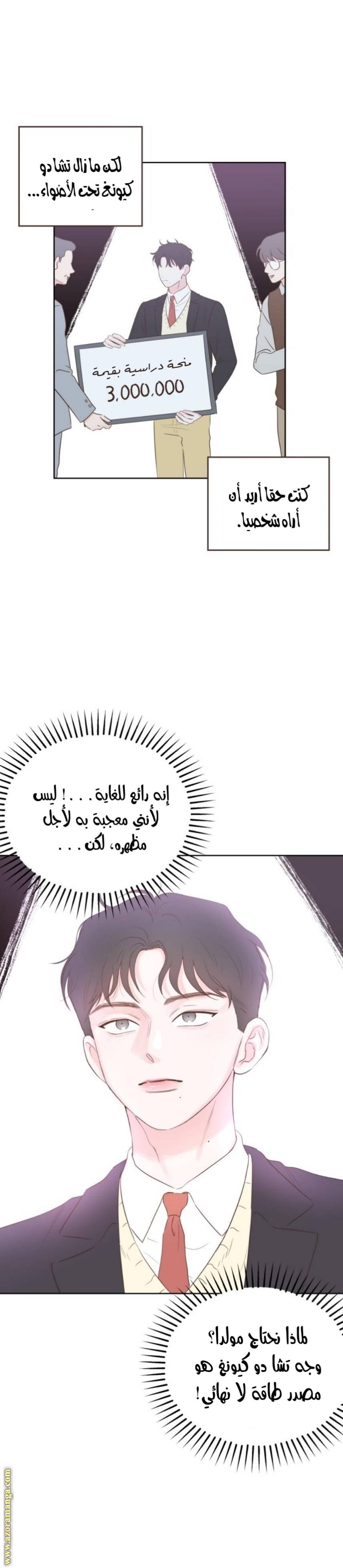 الصفحة 17