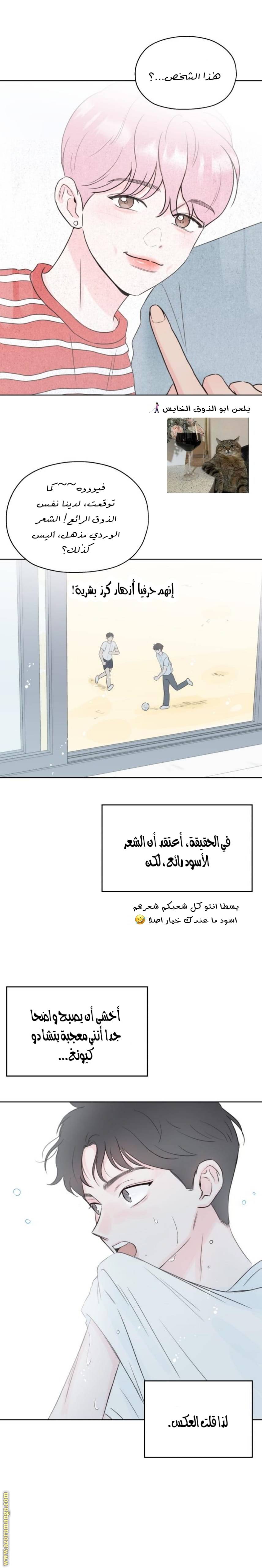 الصفحة 25