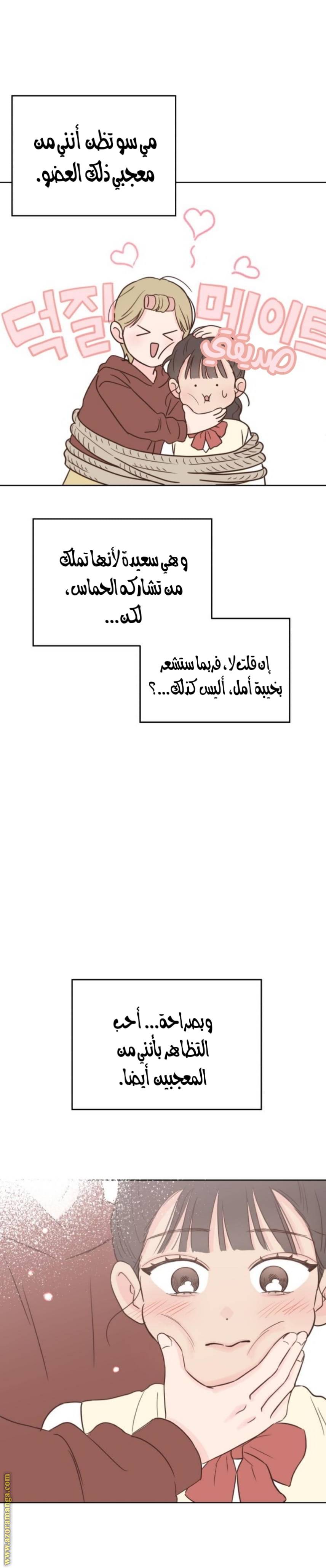 الصفحة 26