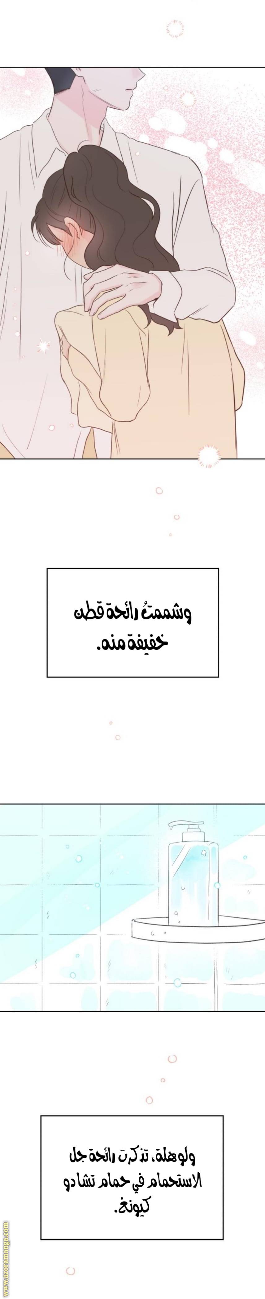 الصفحة 41
