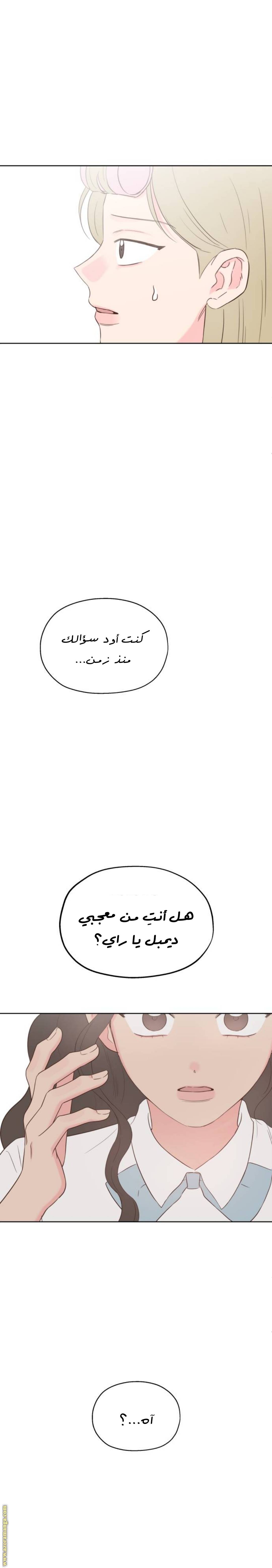 الصفحة 14