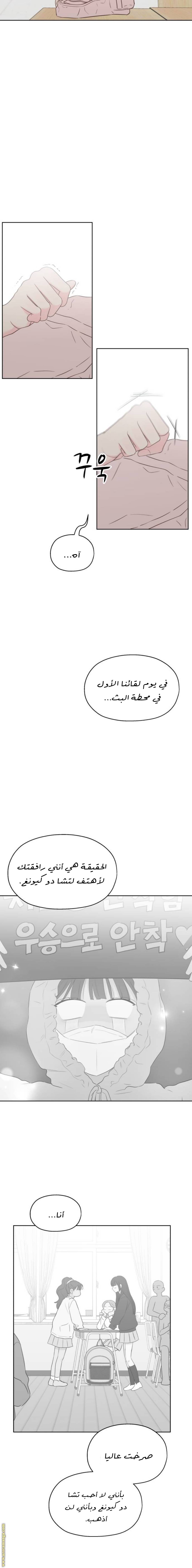 الصفحة 19