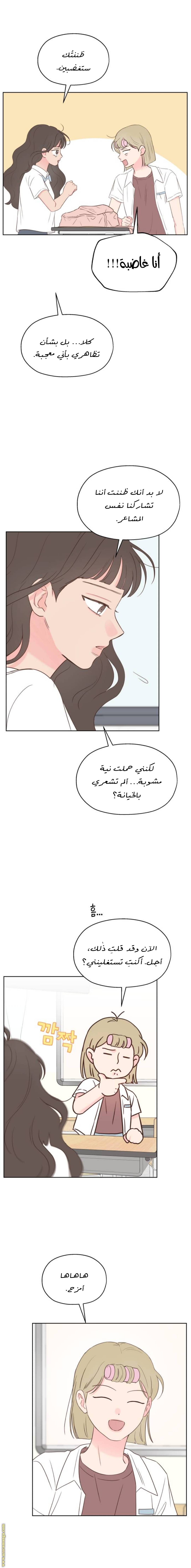 الصفحة 29