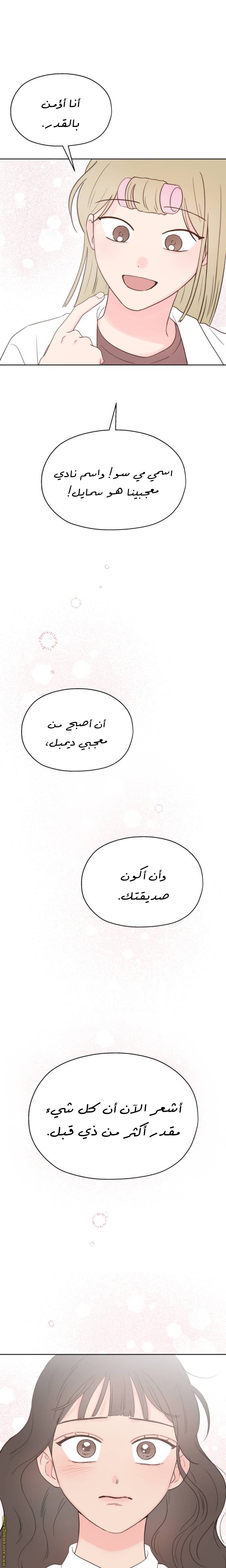 الصفحة 30