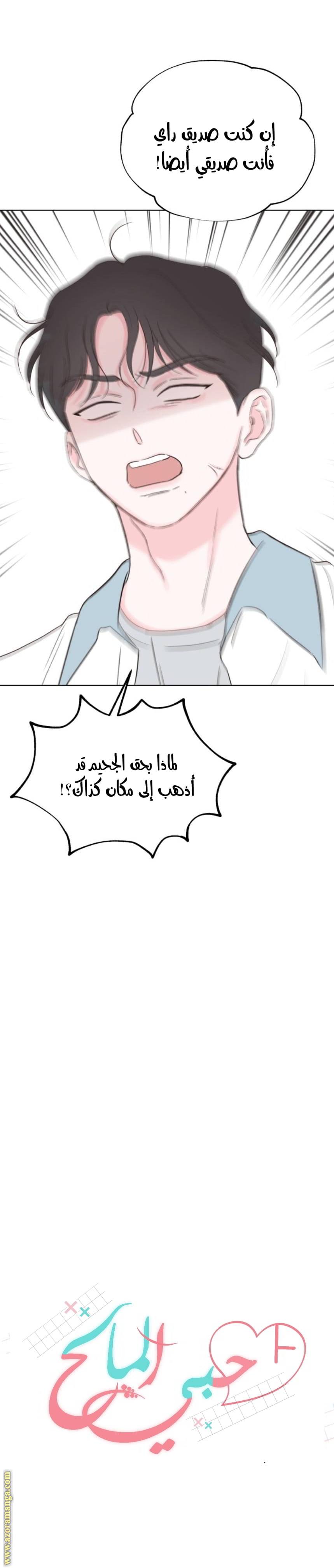 الصفحة 14