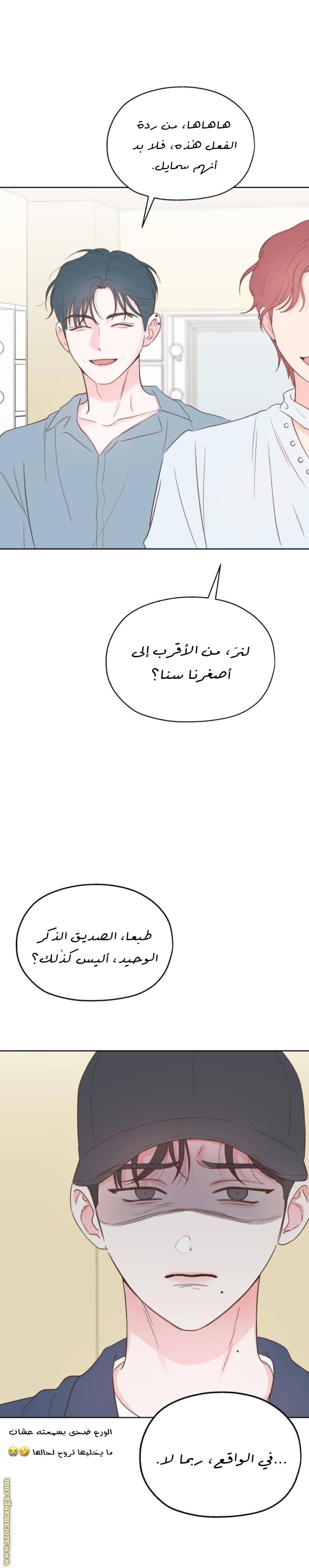 الصفحة 17