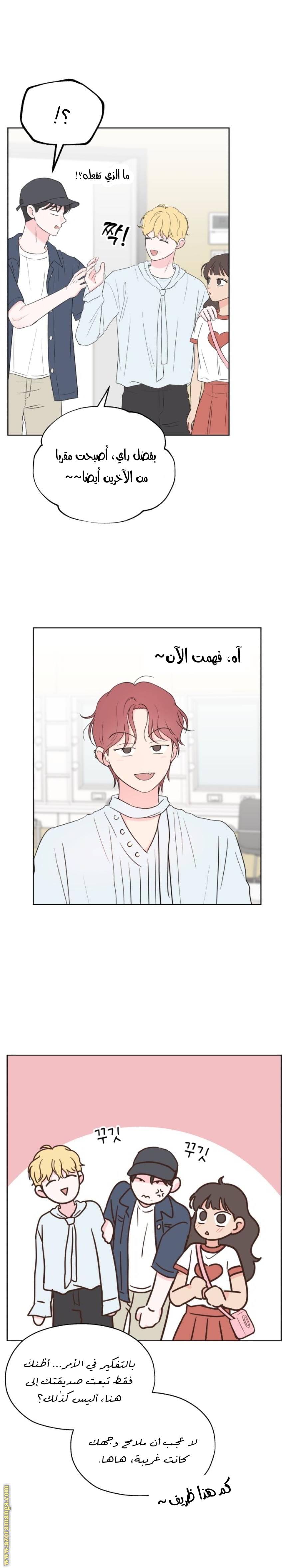 الصفحة 19