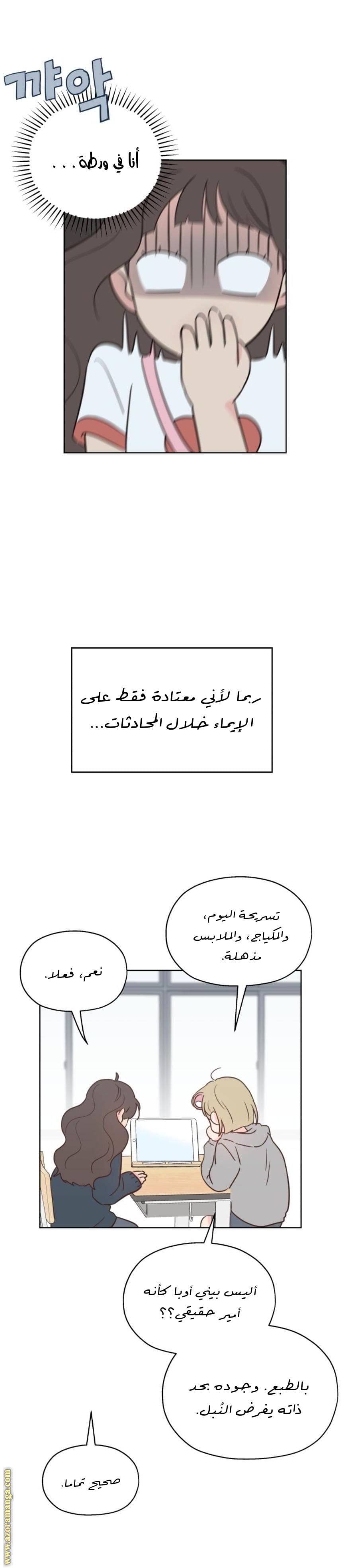 الصفحة 27