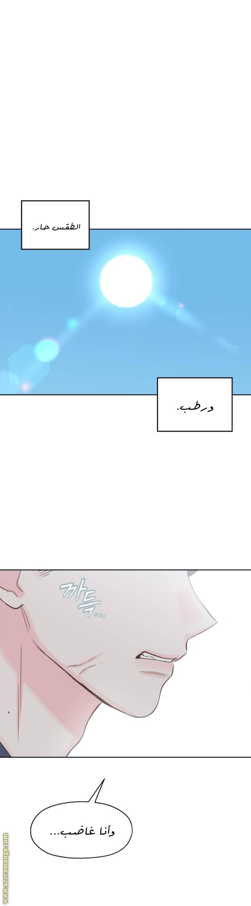 الصفحة 40