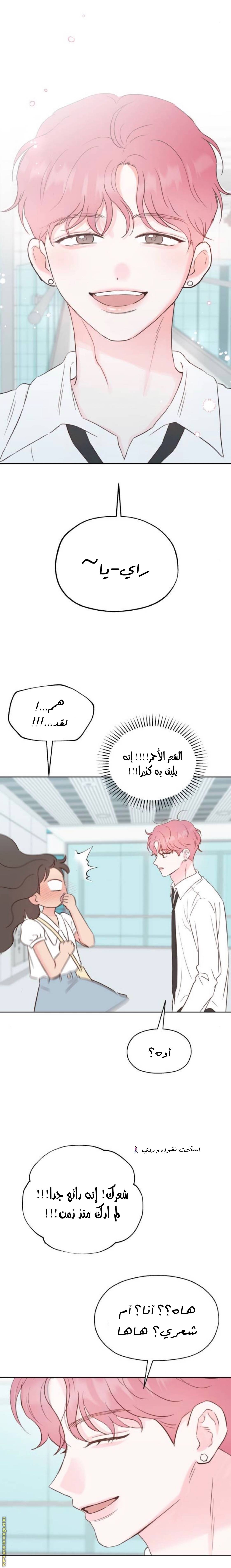 الصفحة 20