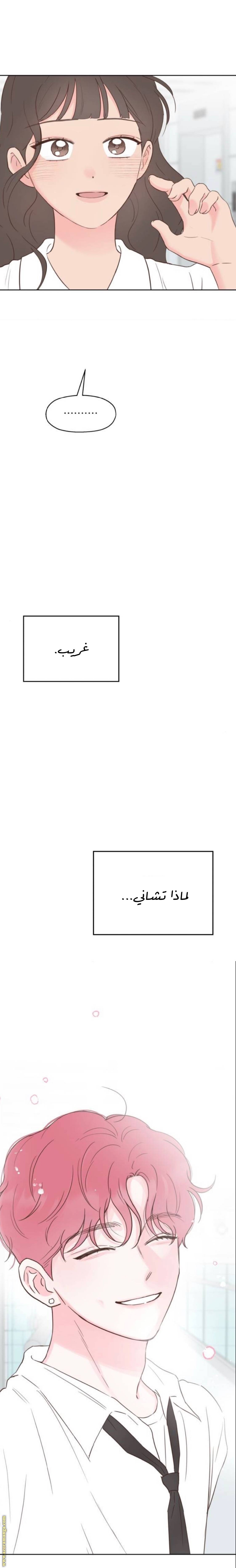الصفحة 23
