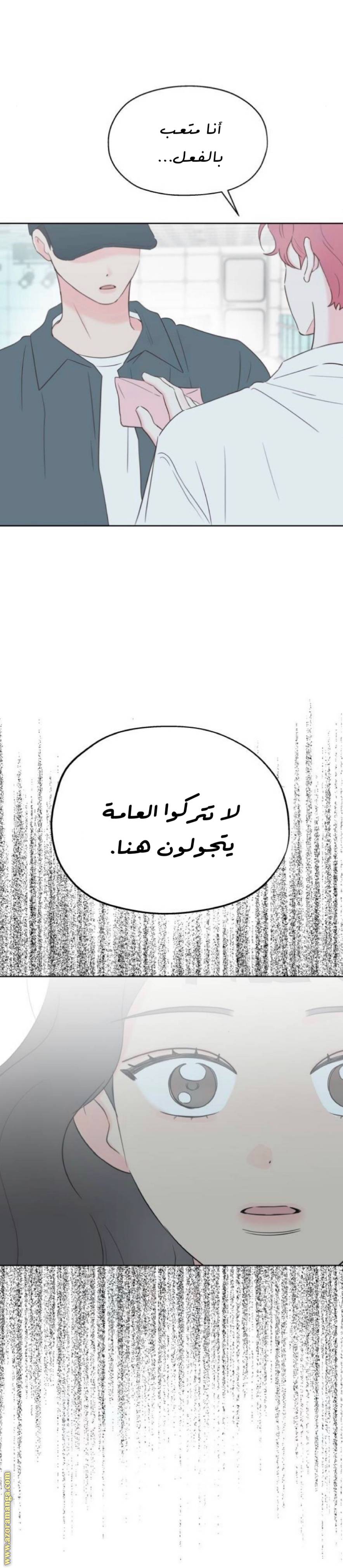 الصفحة 25