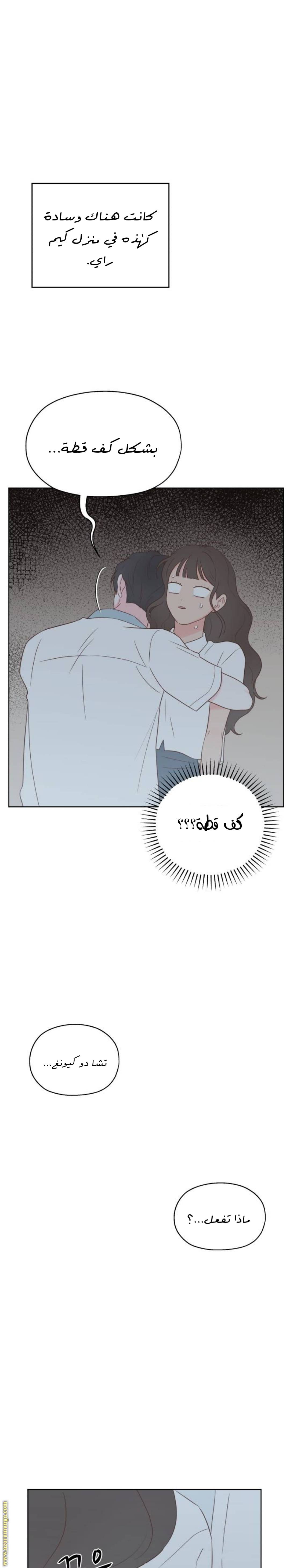 الصفحة 5