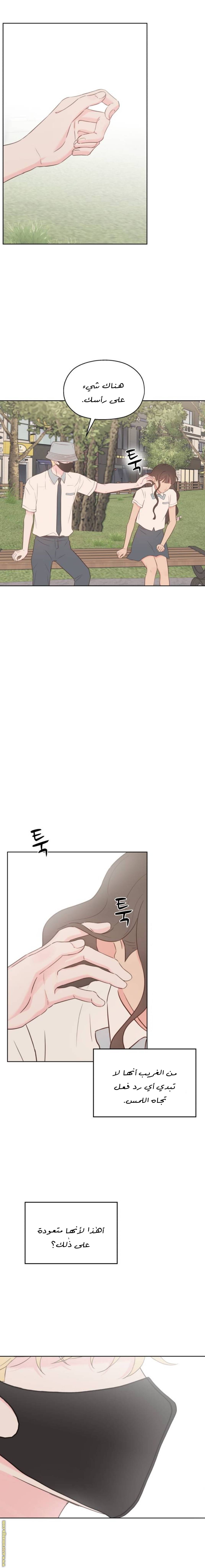 الصفحة 14