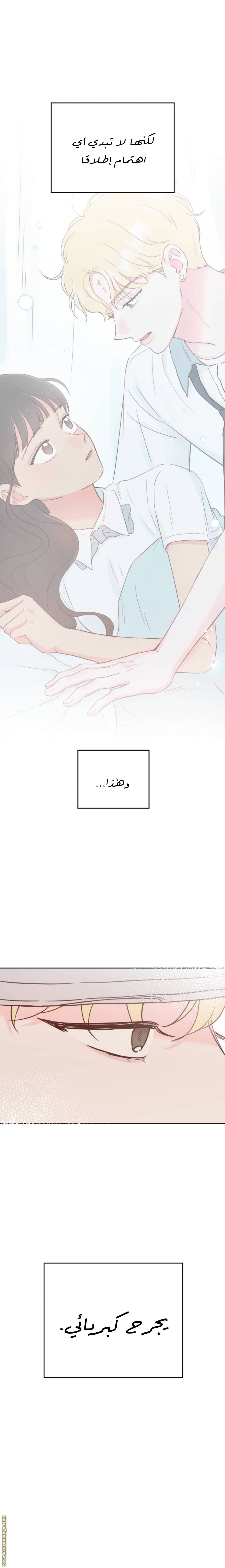 الصفحة 15