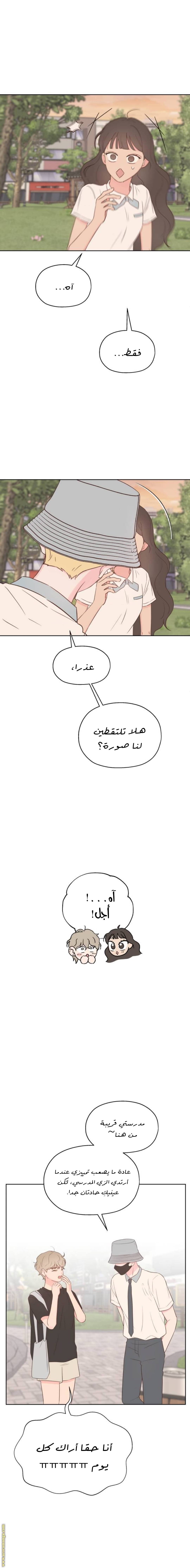 الصفحة 17