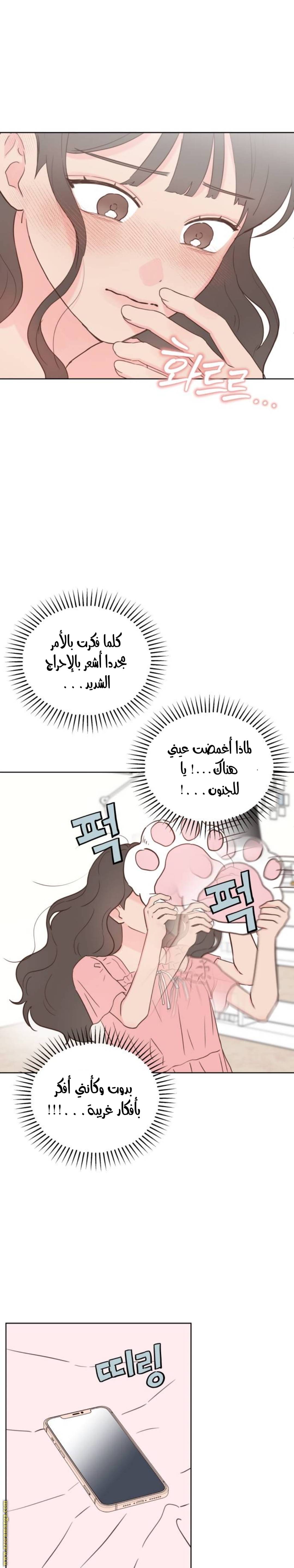 الصفحة 22
