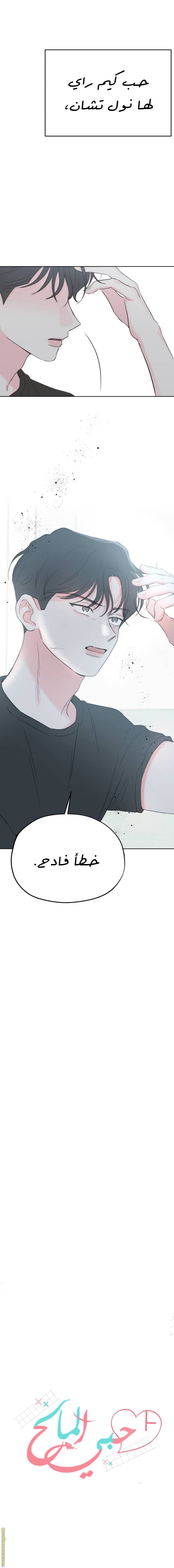 الصفحة 10