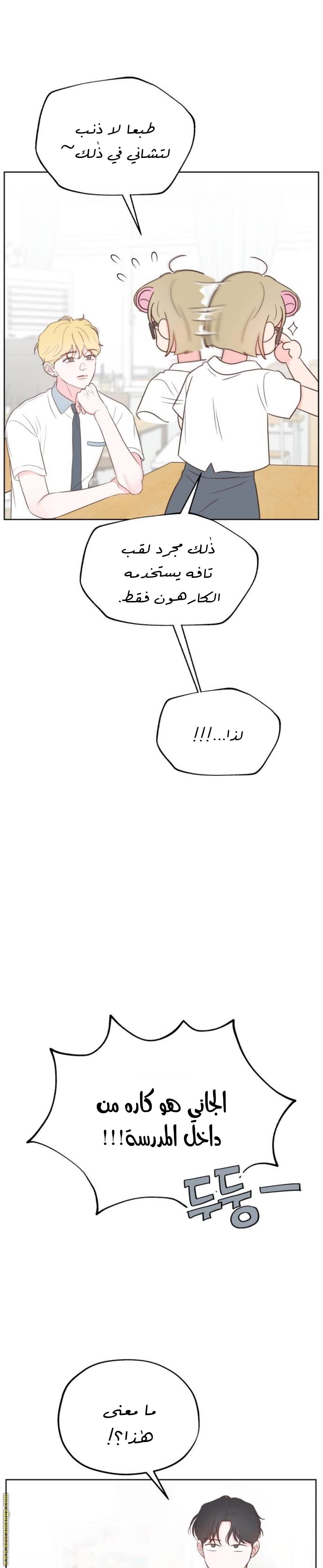 الصفحة 12