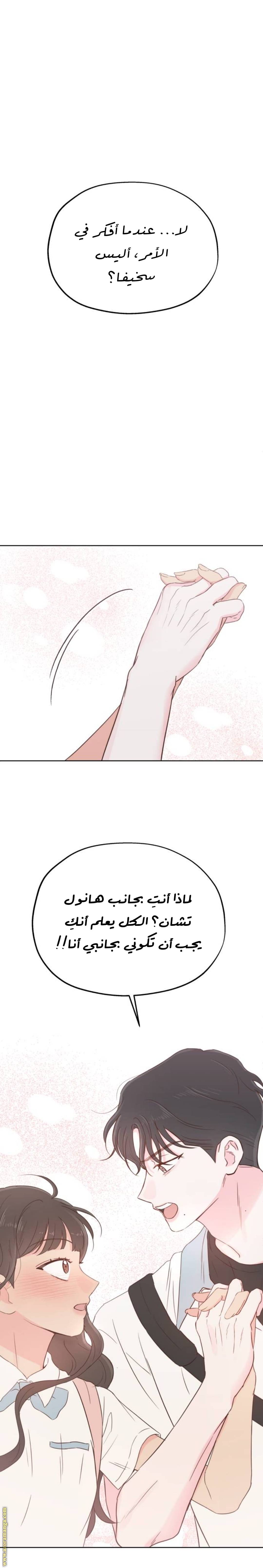 الصفحة 21
