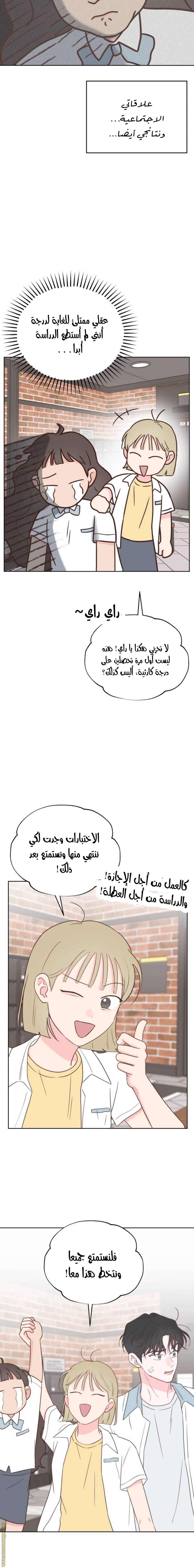 الصفحة 13