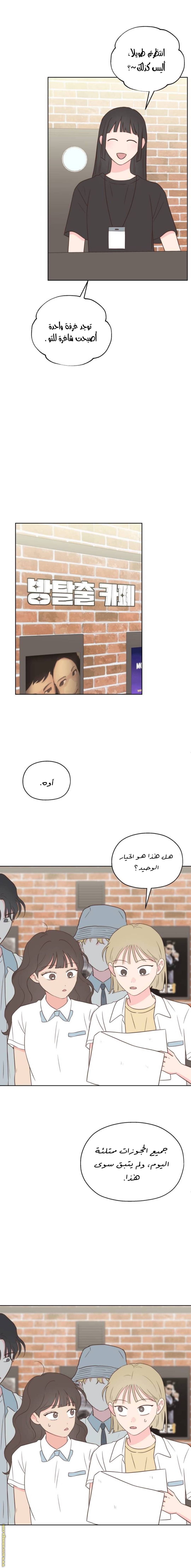 الصفحة 16