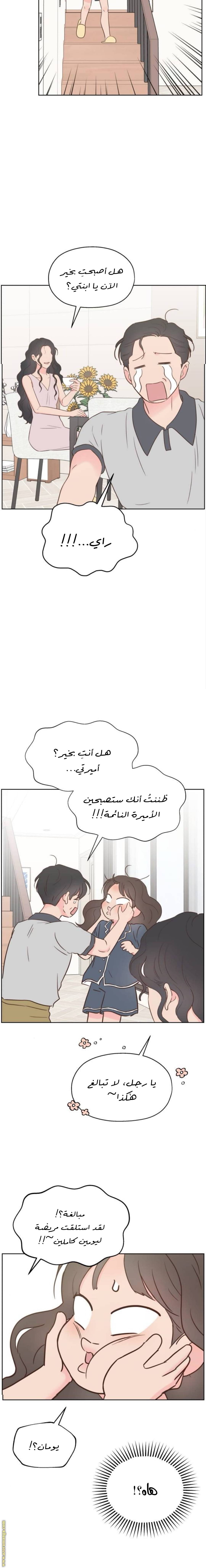 الصفحة 15