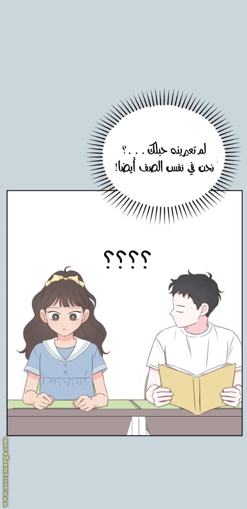 الصفحة 21
