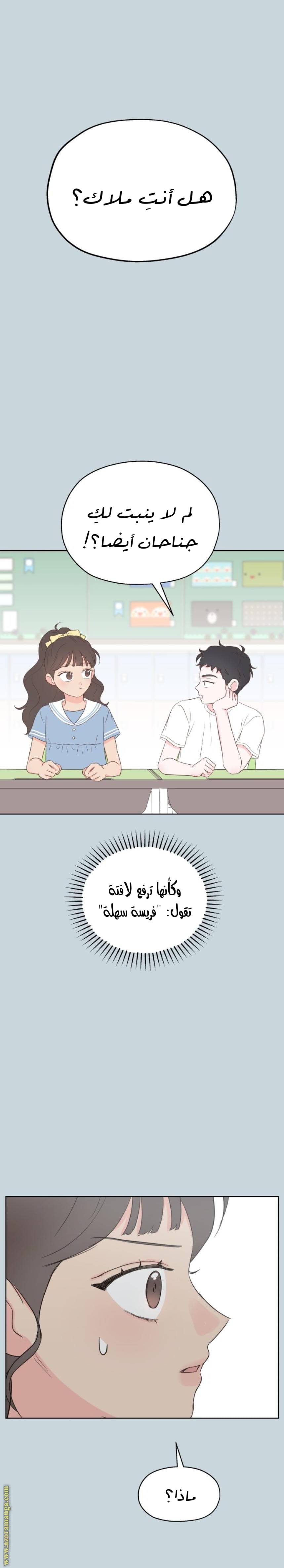 الصفحة 23