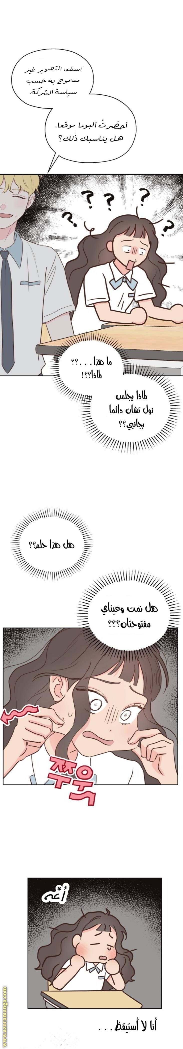 الصفحة 17