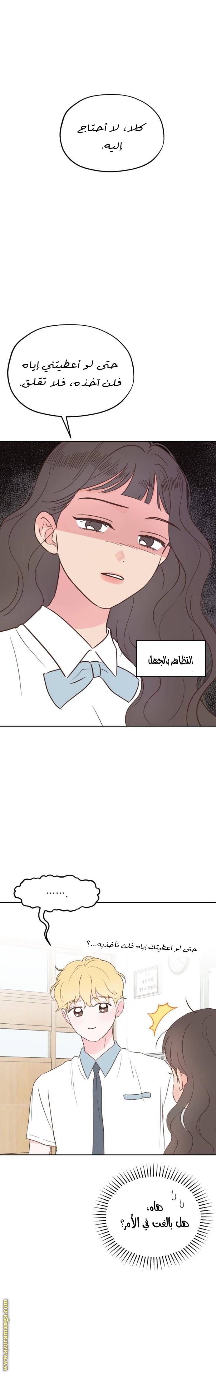 الصفحة 20