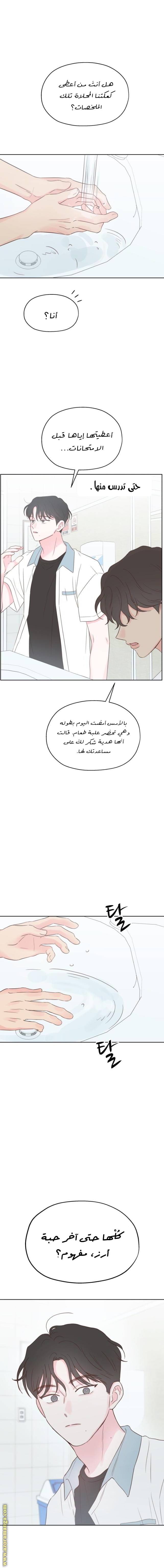 الصفحة 18
