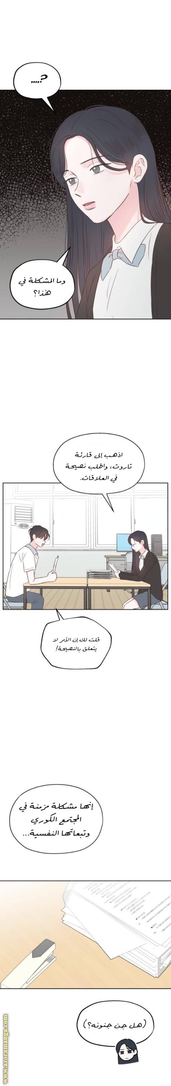 الصفحة 19