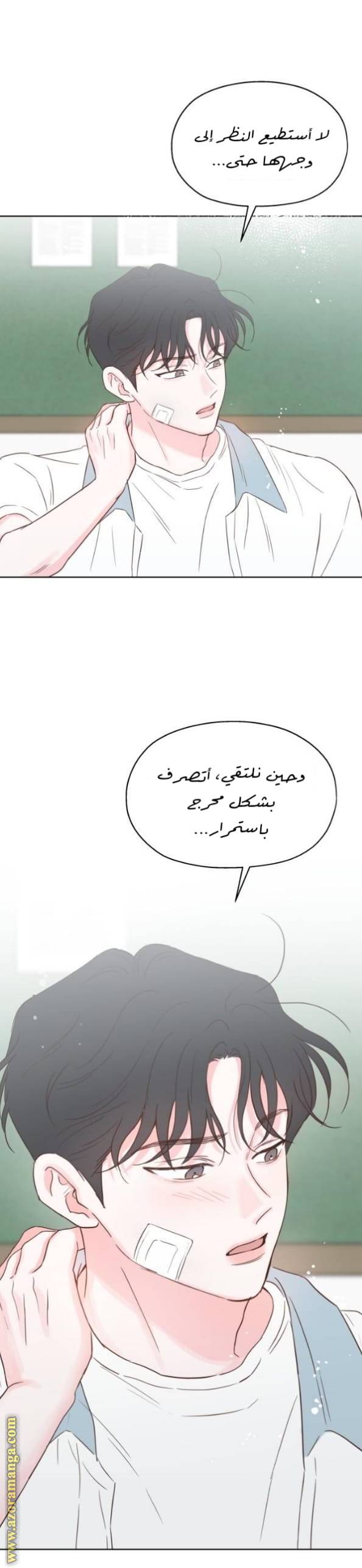 الصفحة 21