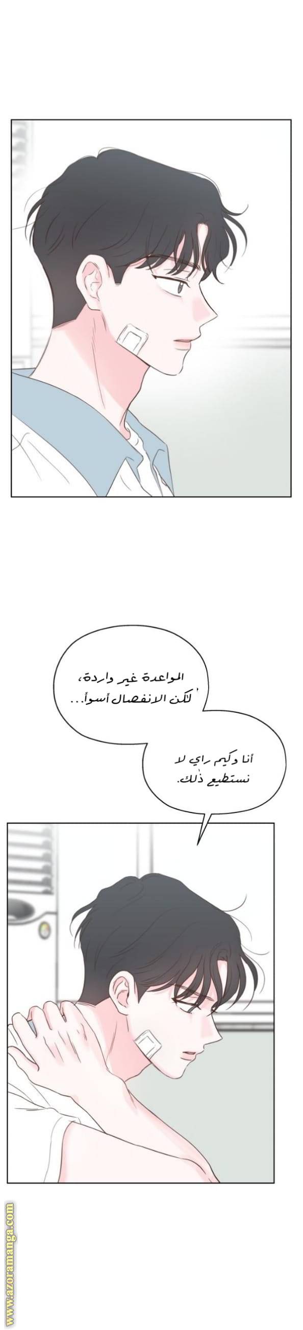 الصفحة 23