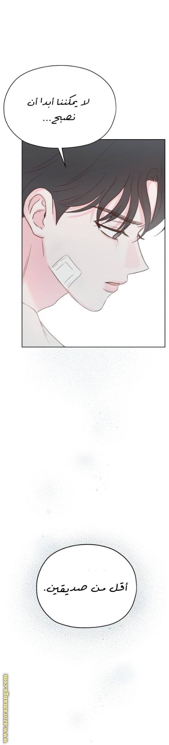 الصفحة 24