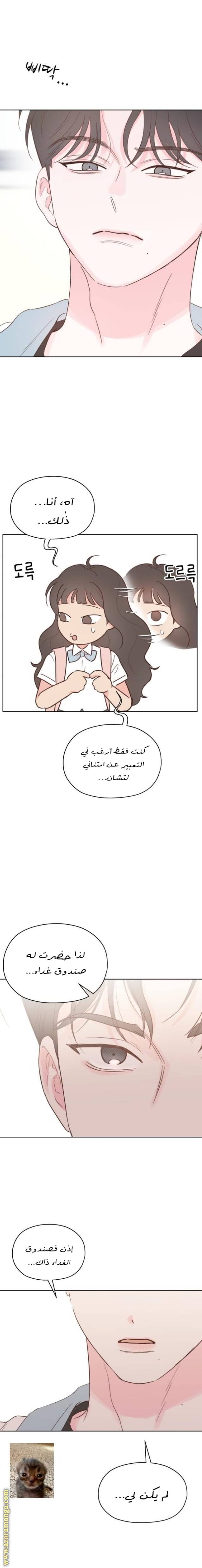 الصفحة 17